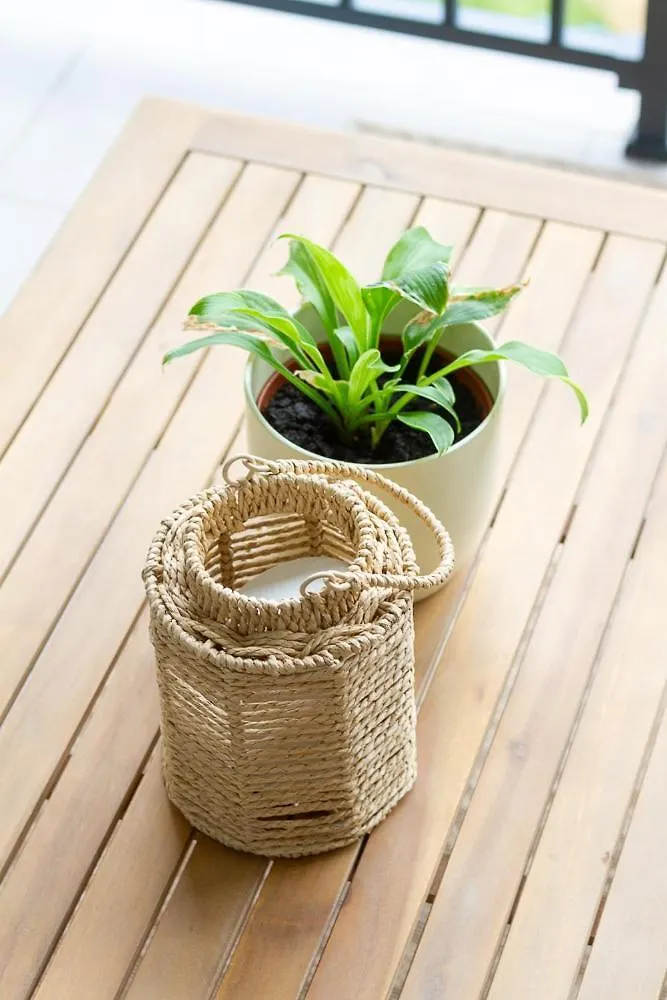 Urban Forest Apartment 布达佩斯
